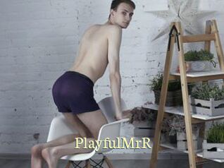 PlayfulMrR Porn str8