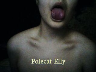 Polecat_Elly