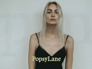 PopsyLane Porn str8