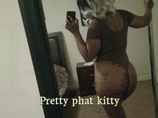 Pretty_phat_kitty