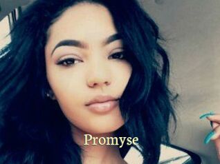 Promyse