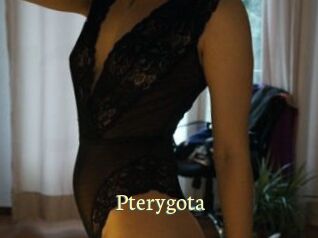 Pterygota