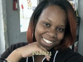 Pudd123