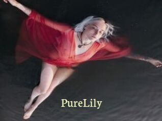 PureLily Porn str8