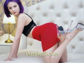 Purplefllower