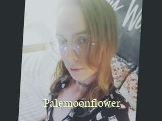 Palemoonflower