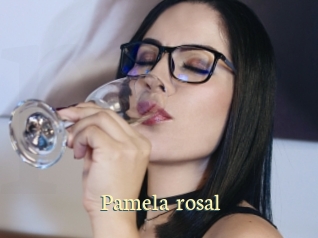 pamela_rosal Porn str8
