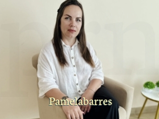 Pamelabarres