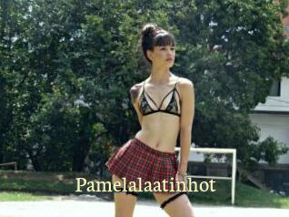 Pamelalaatinhot