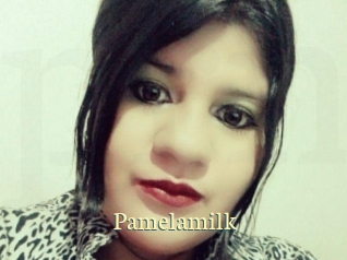 pamelasuite Porn str8