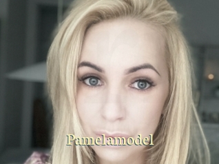 pamelamodel Porn str8