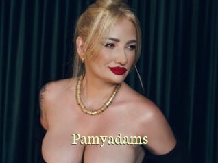 pamyadams Porn str8
