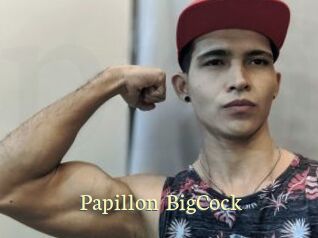 Papillon_BigCock
