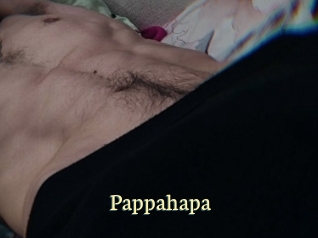 Pappahapa