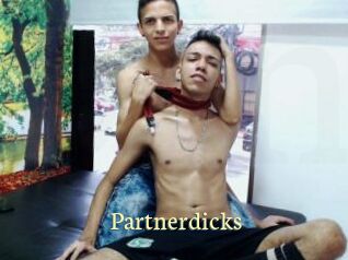 Partnerdicks