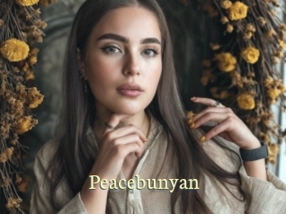 Peacebunyan