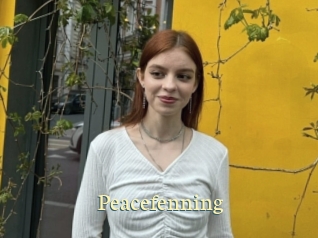 Peacefenning