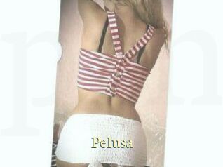 Pelusa