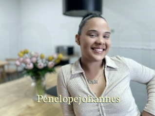Penelopejohannes