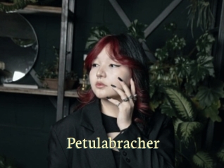 Petulabracher