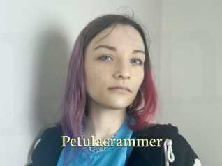 petulacrammer Porn str8