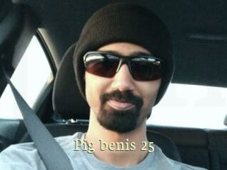pig_benis_25 Porn str8