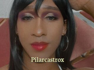 pilarcastrox Porn str8