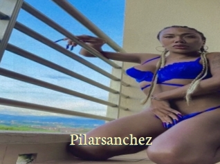 pilarsanchez Porn str8