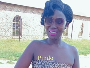 Pindo