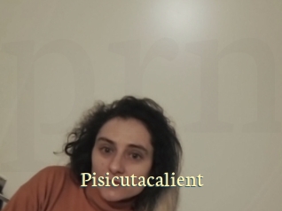 Pisicutacalient