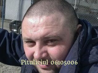 Pituliciul-06105006