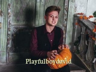 Playfulboydavid