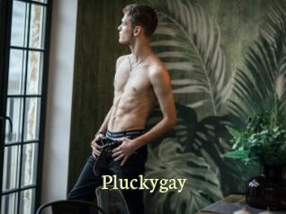 pluckygay Porn str8
