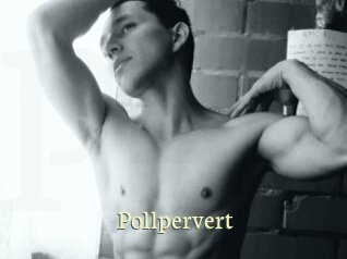 Pollpervert
