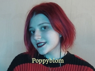 Poppyblom