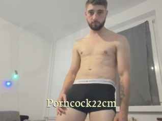 Porncock22cm