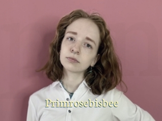 Primrosebisbee