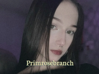 Primrosebranch