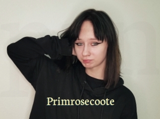Primrosecoote