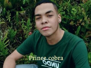 Prince_cobra