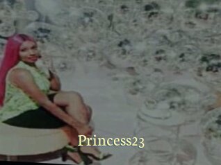 Princess23