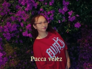 Pucca_velez