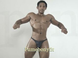 Pumebonyfit