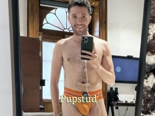 Pupstud