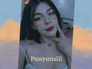 Pussysmalll
