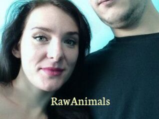 RawAnimals