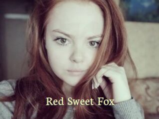 Red_Sweet_Fox