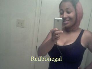 Redbonegal