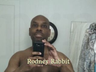 Rodney_Rabbit
