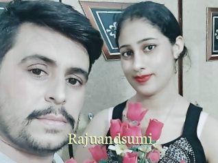 Rajuandsumi